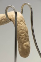 http://hannahslevy.com/files/gimgs/th-17_5_ HL-016-17_Untitled, 2017, nickel plated steel, silicone, 80_1 (h) x 190_5 x 61 cm (detail).jpg